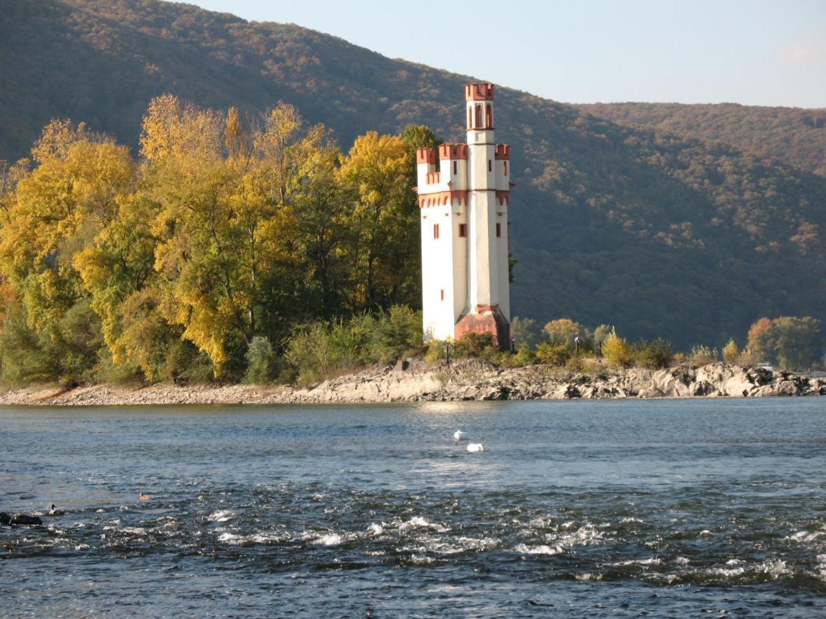 Helle Fewo, 60 Qm, Souterrain, Eigener Eingang, Rhein Und Nahe Bingen am Rhein Exterior foto